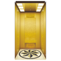 Miroir en titane noir Gravure en acier en acier à la maison de luxe Ascense des prix d&#39;ascenseur résidentiel